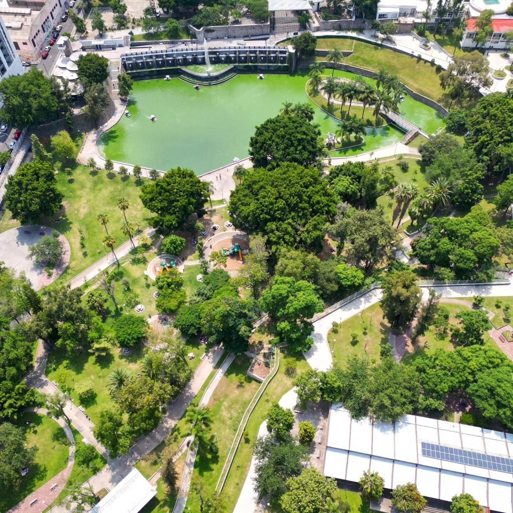 Volando sobre el parque Alcalde de Guadalajara