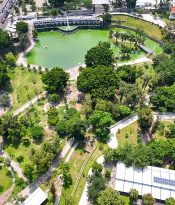 Volando sobre el parque Alcalde de Guadalajara
