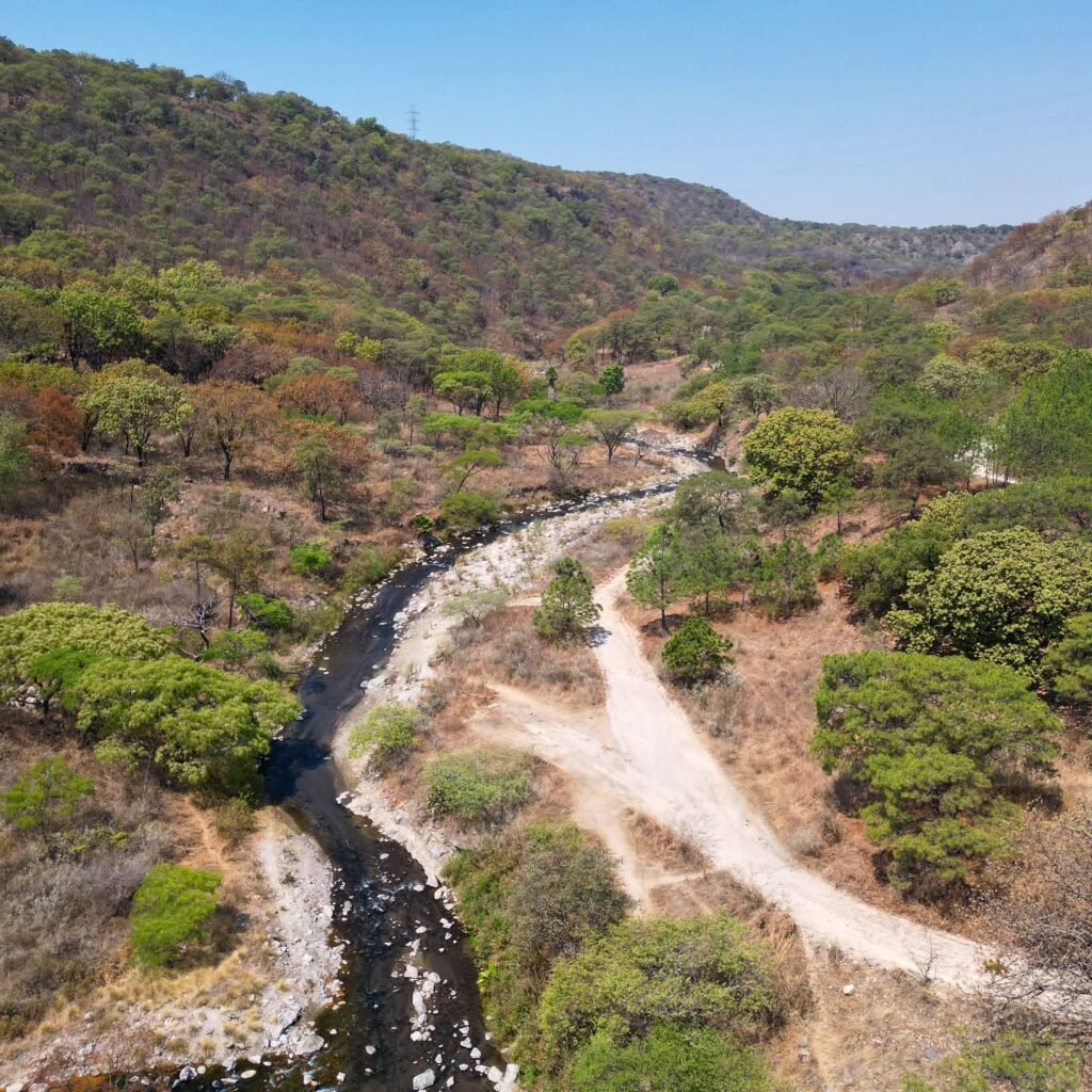 Vista del Rio Caliente en el bosque de la primavera #jalisco #drone #dronelife