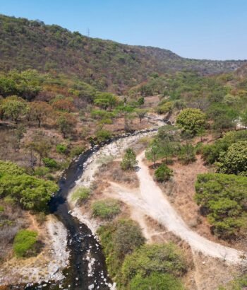 Vista del Rio Caliente en el bosque de la primavera #jalisco #drone #dronelife