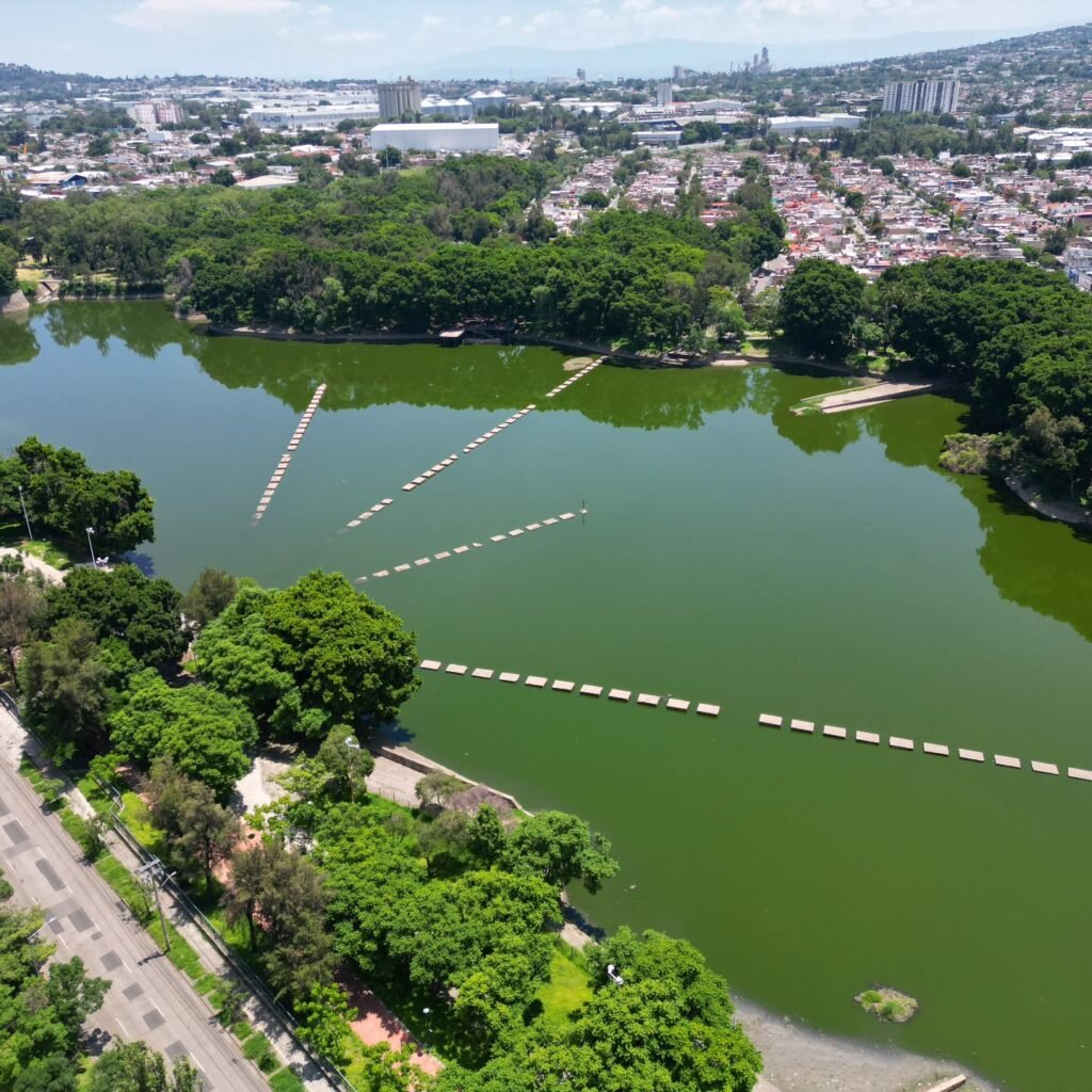 El Dean desde las Nubes: Un Oasis Verde en el Corazón de Jalisco