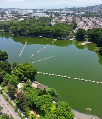 El Dean desde las Nubes: Un Oasis Verde en el Corazón de Jalisco